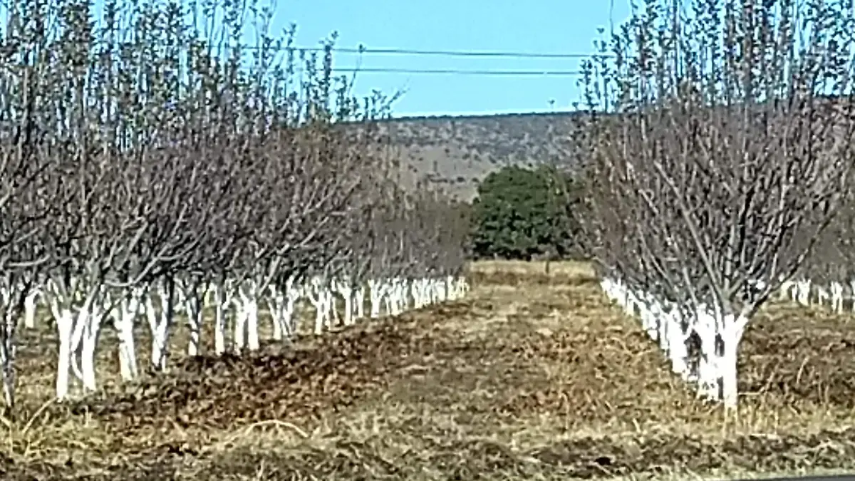 Doctorado y huertas con celular (7)